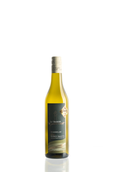 Chasselas Perroy